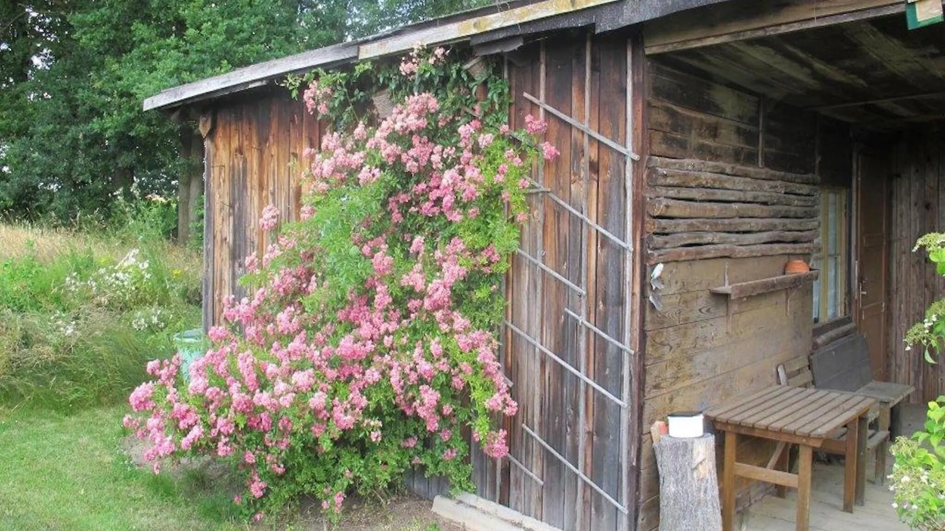 Detached Holiday Home In An Idyllic Quiet Location Kleinwinklarn