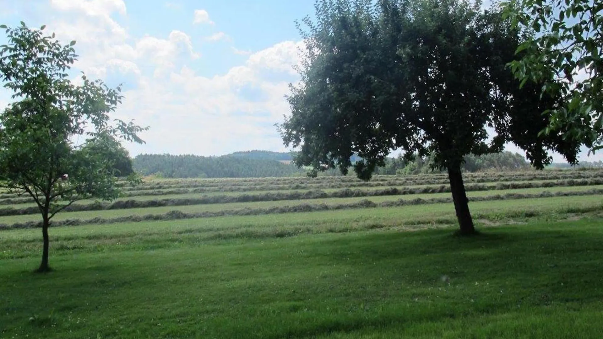 Detached Holiday Home In An Idyllic Quiet Location Kleinwinklarn Germany