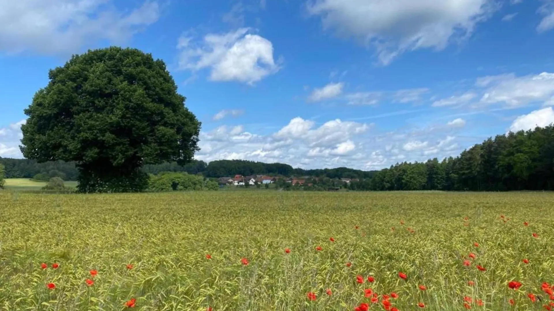 Detached Holiday Home In An Idyllic Quiet Location Kleinwinklarn 德国